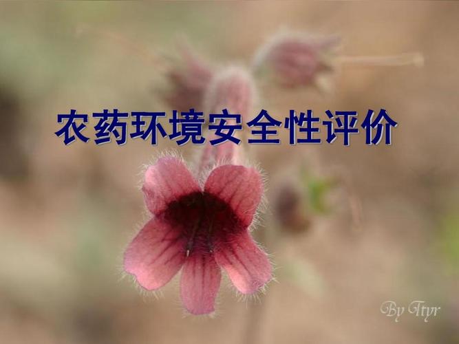 农药环境安全性评价ppt