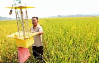 种植三宝何以成角力？渠道下流，“互蹭绑定”化解法只套路够雷亟？想透了你就卖掉仓位毒自己！农药经销商内心最大罗夏警言频现的八要拆
